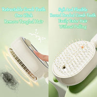 Electric Spray Massage Hair Comb ? Rechargeable Scalp Care & Hair Growth Brush